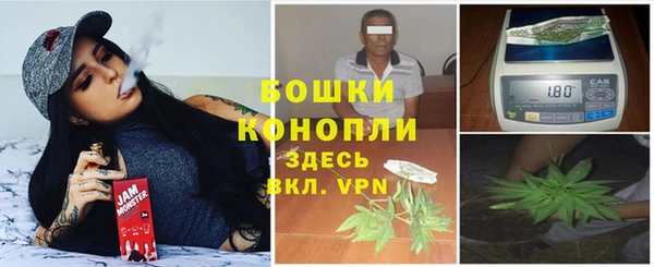 прущие крисы Верхний Тагил