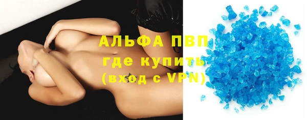 индика Верея