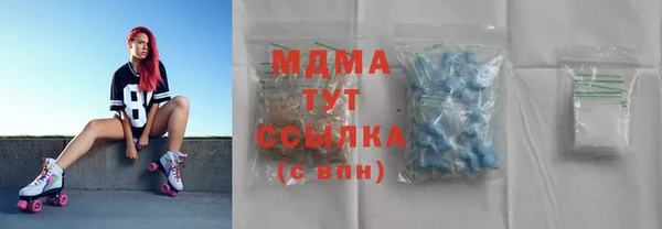 индика Верея