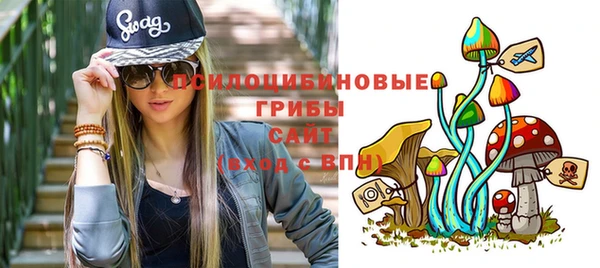 прущие крисы Верхний Тагил