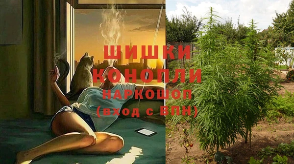 прущие крисы Верхний Тагил