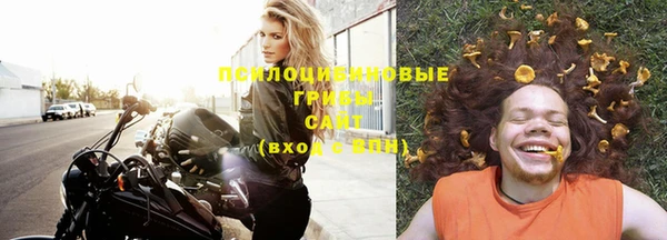 индика Верея