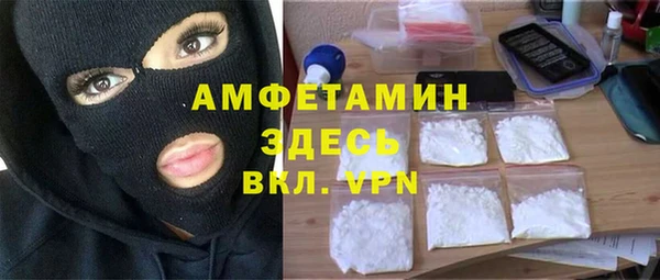 индика Верея